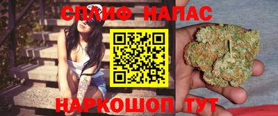 крисы Анапа