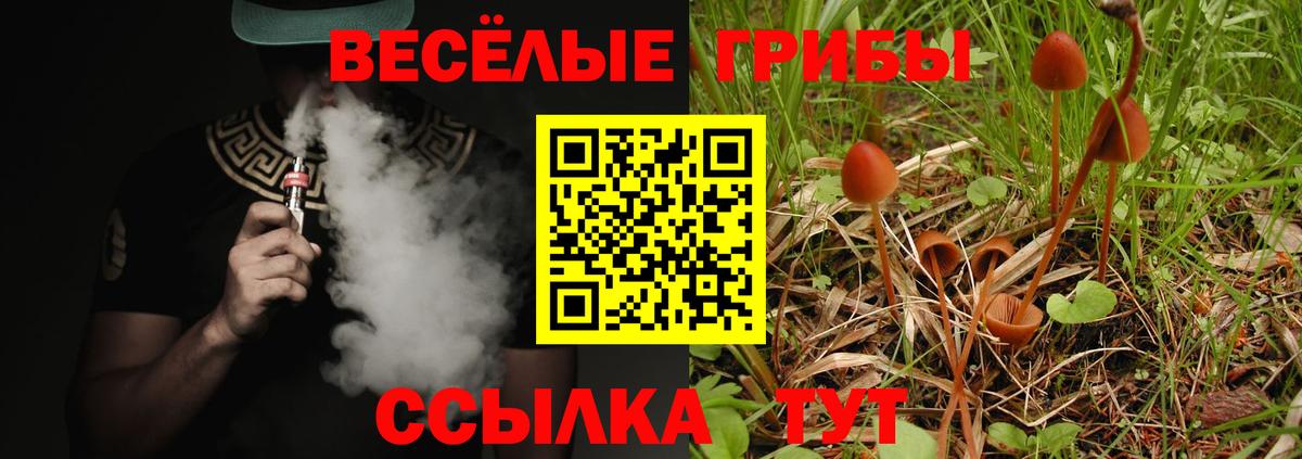 Ачинск  Галлюциногенные грибы Psilocybe  Вход с VPN 